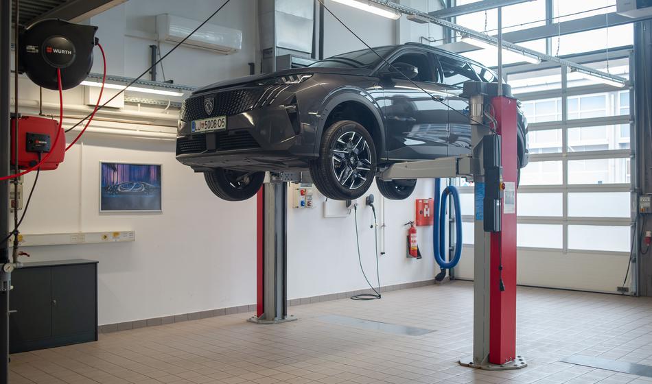 Malo srce iz velikega leva - zakaj je tako dobro