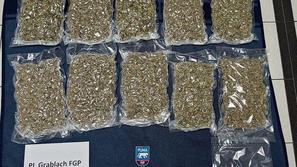 Kanabis, zasežena prepovedana droga, Jezersko