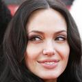 Angelina Jolie bo v filmu igrala agentko Interpola. (Foto: Flynet/JLP)