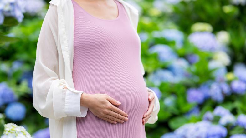 nosečnica se drži za trebuh