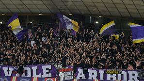 Viole, NK Maribor