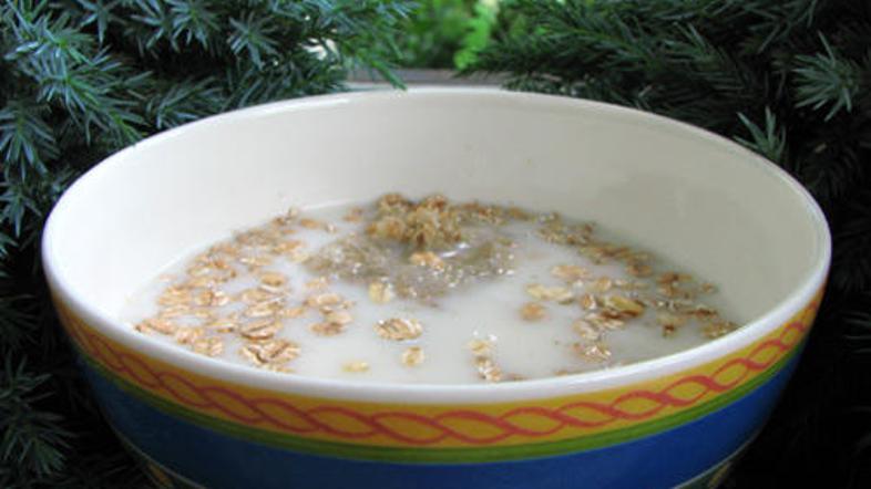 Ovseni kosmiči so najbogatejši žitni vir kalcija.