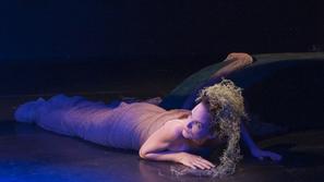 Ribič in njegova duša