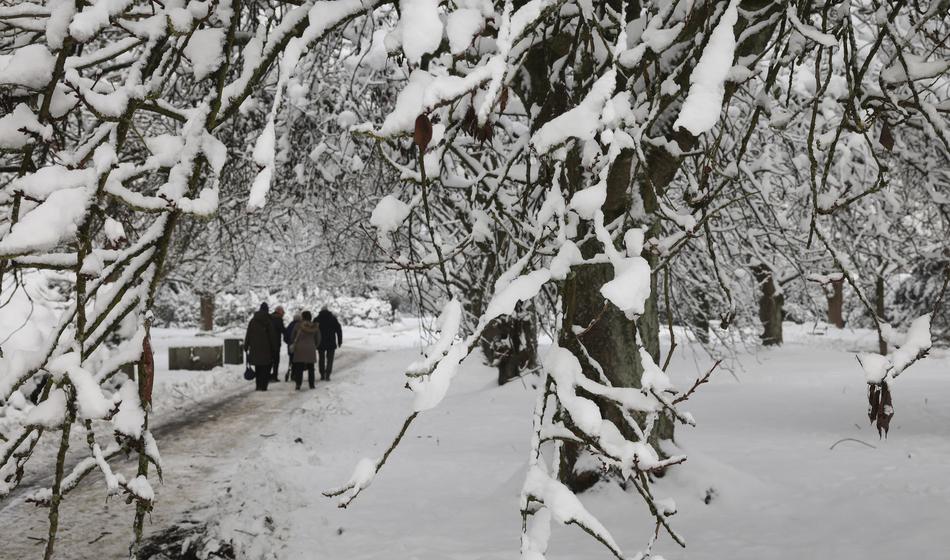 Zaradi snežnega kaosa odpovedali vse pogrebe