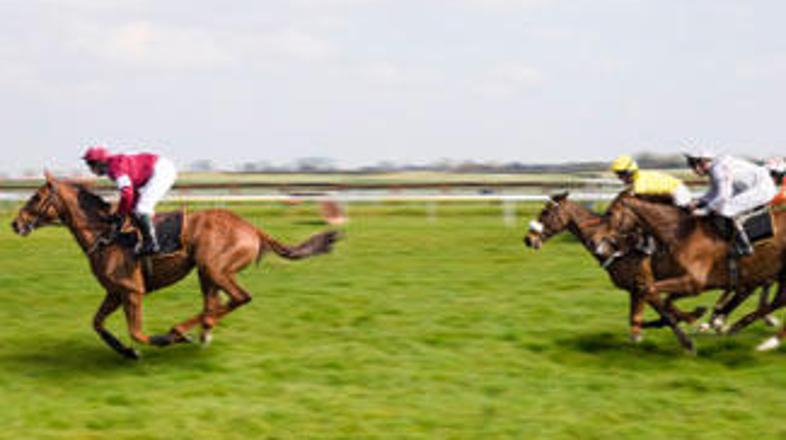 Verjetnost, da bodo vsi konji zmagali na svojih dirkah, je bila dva milijona pro