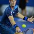 op avstralije andy murray