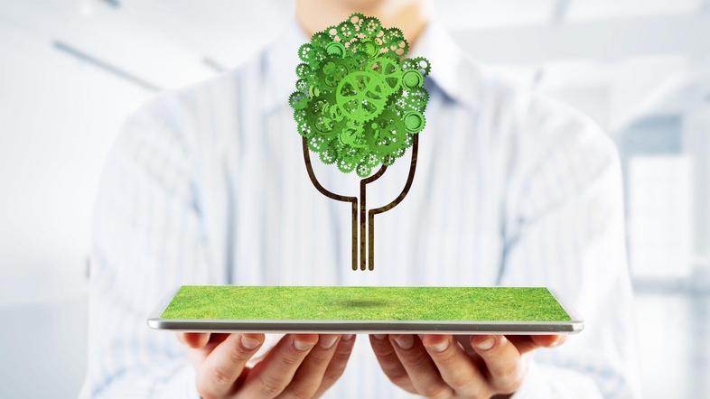 trajnostno trajnostni koncept