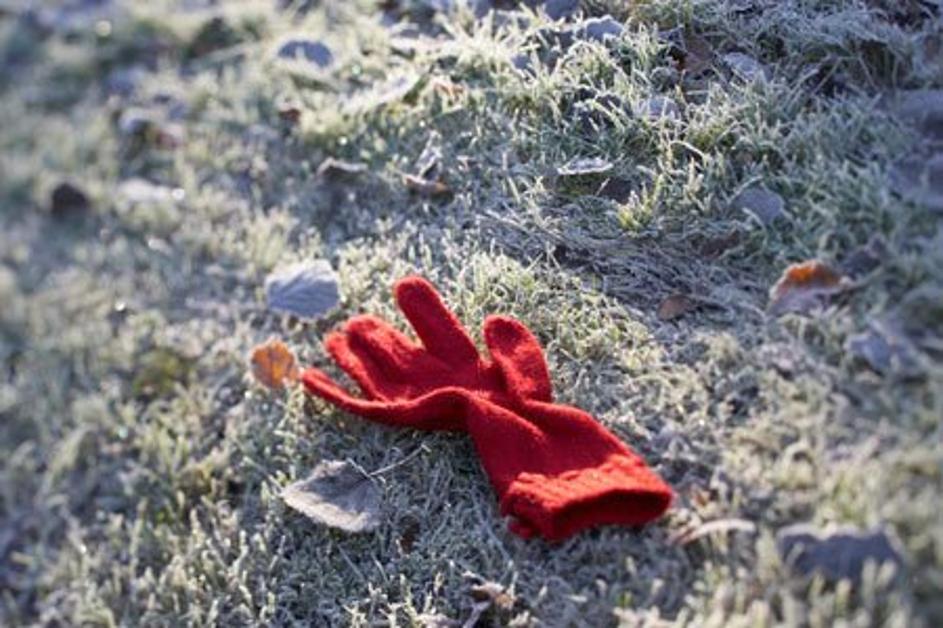 jesen mraz rokavica