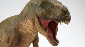 Fosil dinozavra je verjetno najbolje ohranjen na svetu.