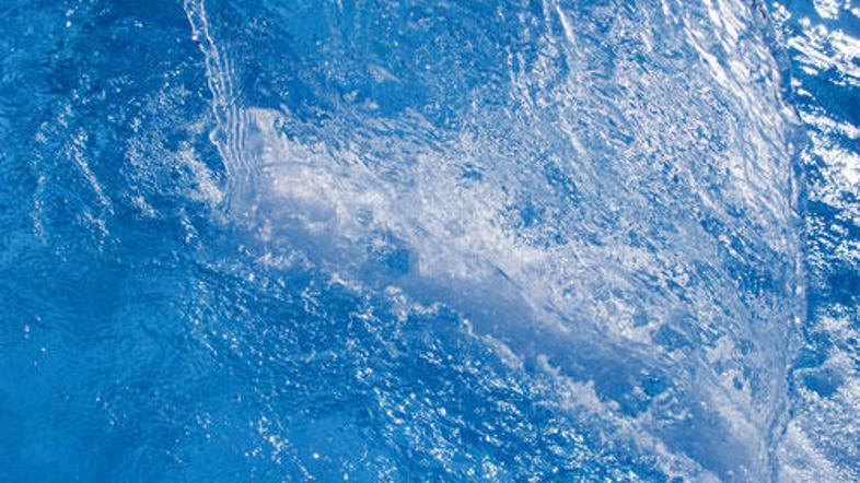 (Foto: Shutterstock)