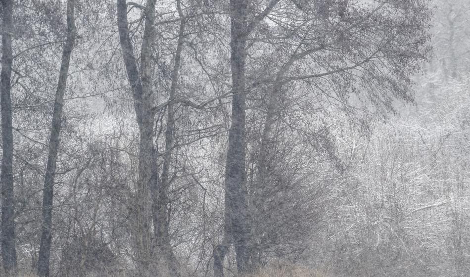 Sveža vremenska napoved: prihajata pooblačitev in sneg