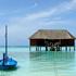 Maldivi