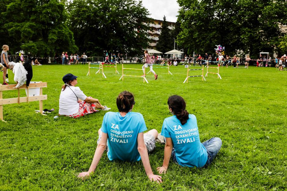festival za ljubitelje živali | Avtor: Saša Despot
