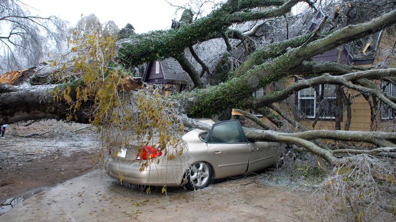 Vetrolom veter neurje podrta drevesa