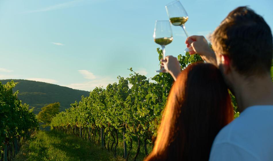 Slovenci smo zelo ponosni na svoje vino, a pravi vinski velikani so drugje