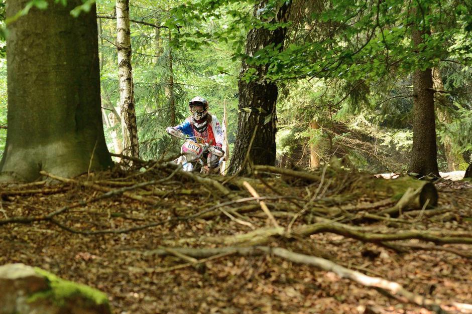 kroska motor gozd motokros | Avtor: Profimedia