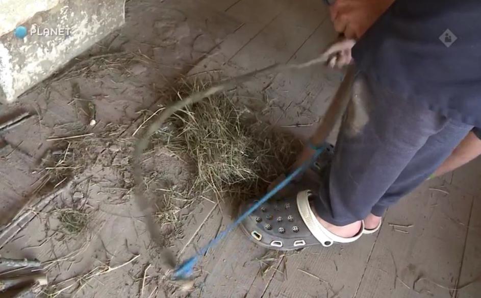 Kmetija: Nov začetek, ogenj