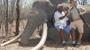 Ubil slona, Slon