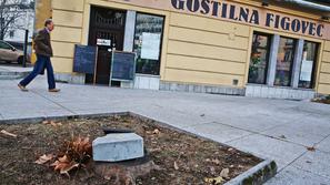 Ljubljana 12.12.2013 drevesa pred gostilno Figovec v Ljubljani, Puharjeva ulica;