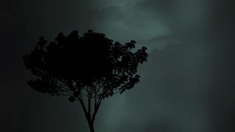 Nevihta, oblaki, neurje