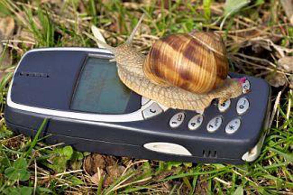 Tudi polžek je radoveden. | Avtor: Žurnal24 main