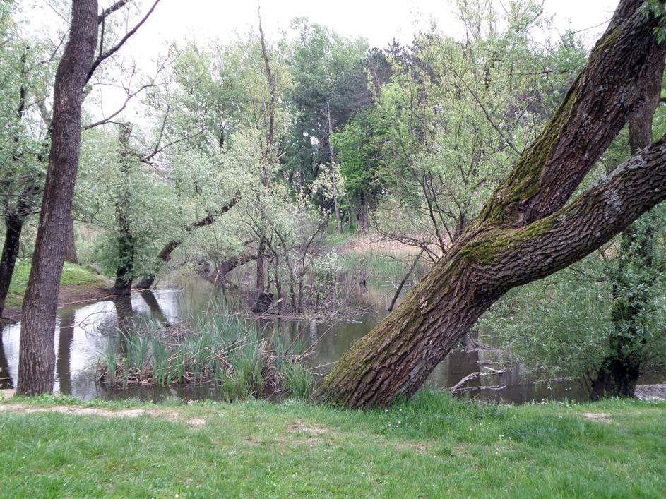 ribnik Nova Gorica