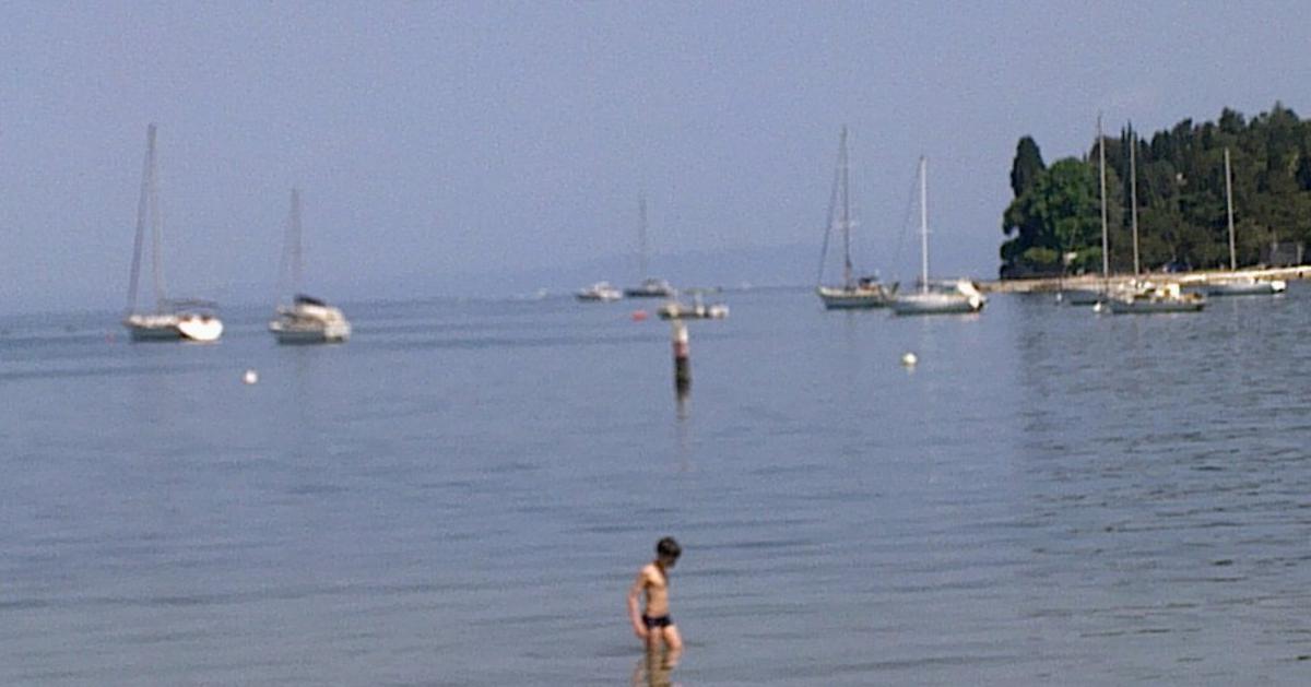 Modra rakovica v slovenskem morju - Žurnal24