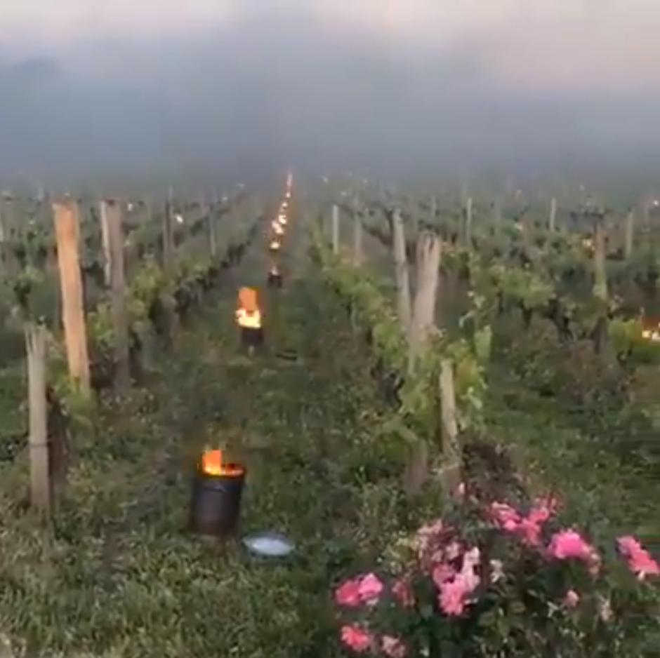 Kurjenje proti pozebi | Avtor: Severe Weather Europe