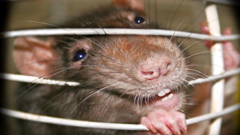 (Foto: Shutterstock)