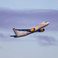 Vueling