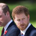 princ Harry