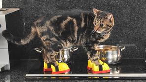 maček škornji štedilnik