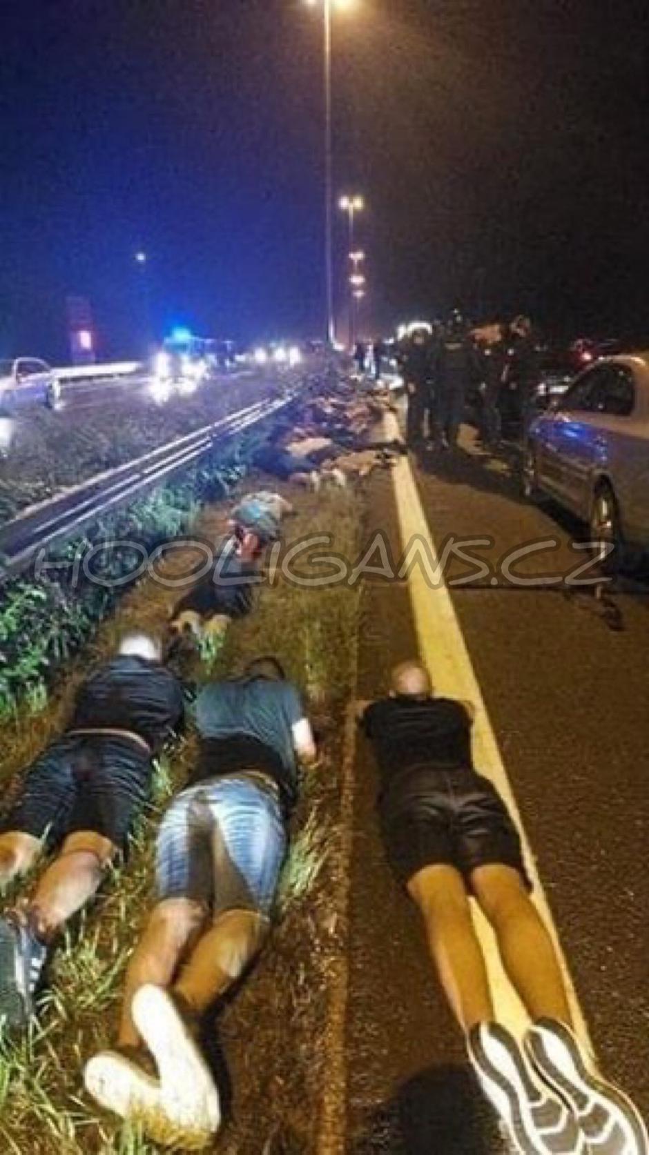 huligani | Avtor: Reševalni pas/Twitter