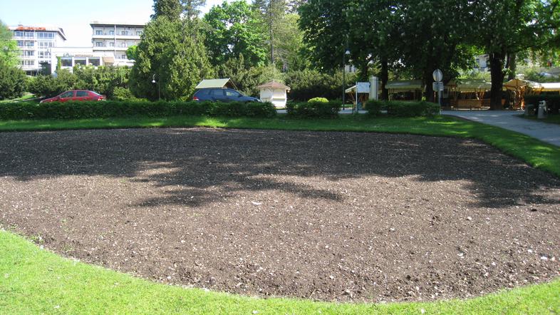 Osrednja cvetlična greda v Zdraviliškem parku, ki je z raznovrstnim cvetjem obič