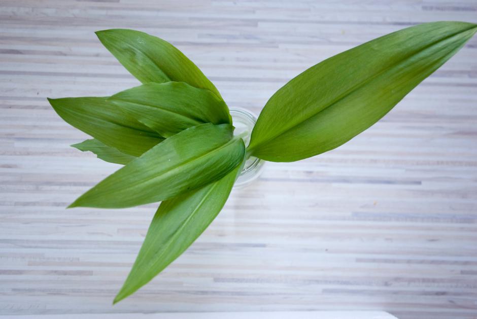 Čemaž | Avtor: Čemaž/Profimedia