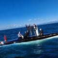 Izola: S prevrnjene jadrnice rešili šest podhlajenih članov posadke