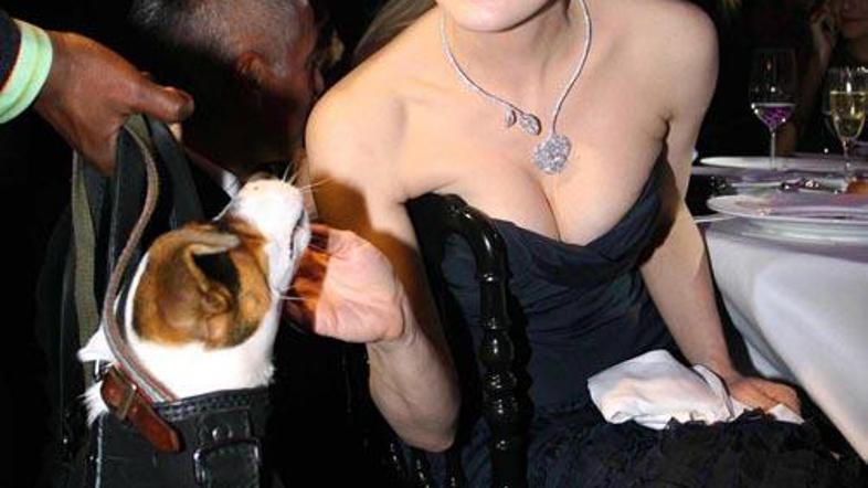 S seksi Dito do zmage.