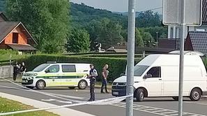 Streljanje v Šmarjeti