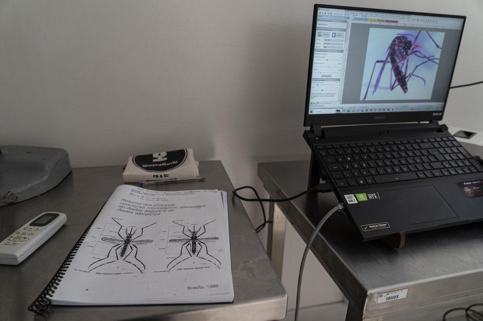 Denga | Avtor: Profimedia