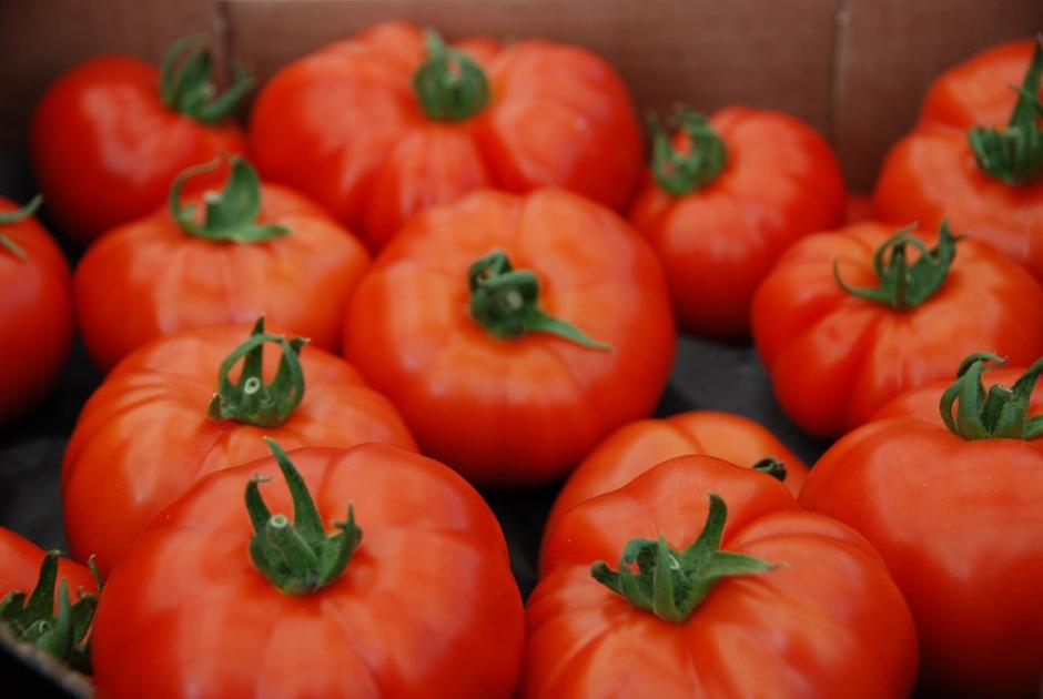 Lušt | Avtor: Žurnal24 main