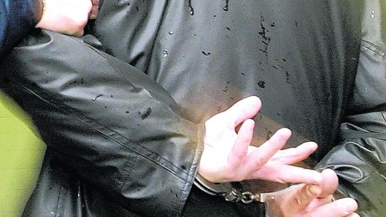 Nasilni pustni maski so vklenjeni odpeljali na policijsko postajo. (Foto: iStock