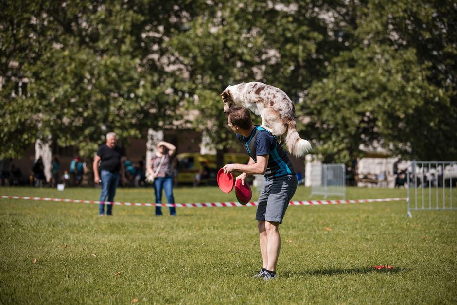 Festival za ljubitelje živali 2025 | Avtor: Cimet Studio