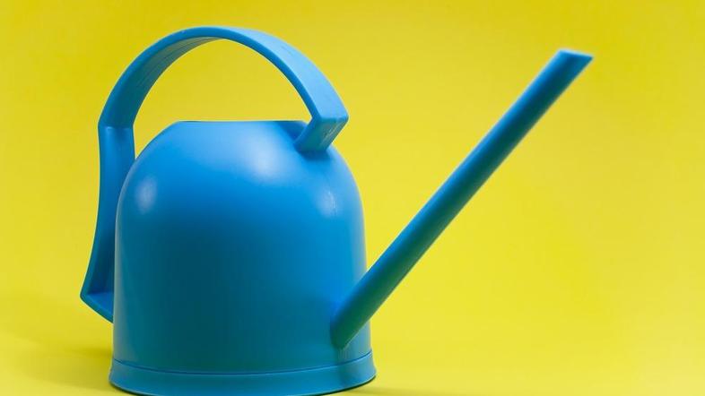 Za rastline je treba skrbeti z ljubeznijo in razumom. (Foto: Shutterstock)