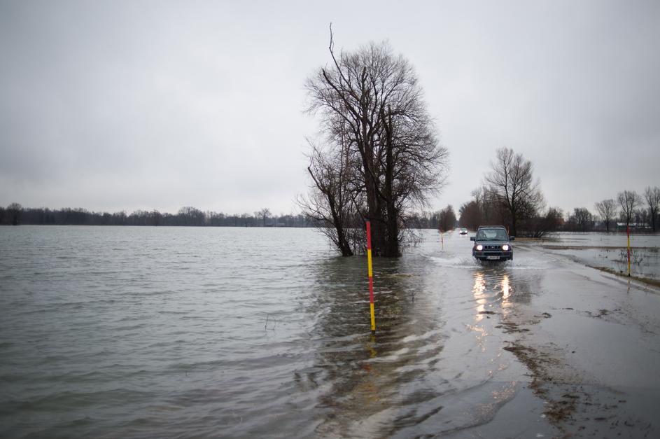 Poplavljeno območje Ljubljanskega barja.