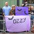 ozzy osbourne, pogreb, birmingham
