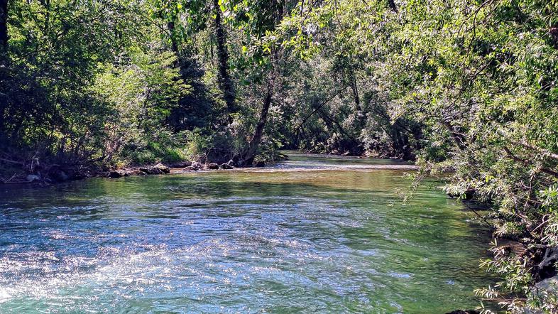 Vipava Velike Žablje