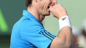 andy murray miami