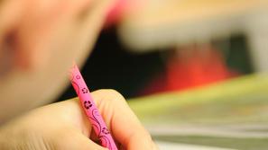 Testi izboljšajo učenje. (Foto: Shutterstock)