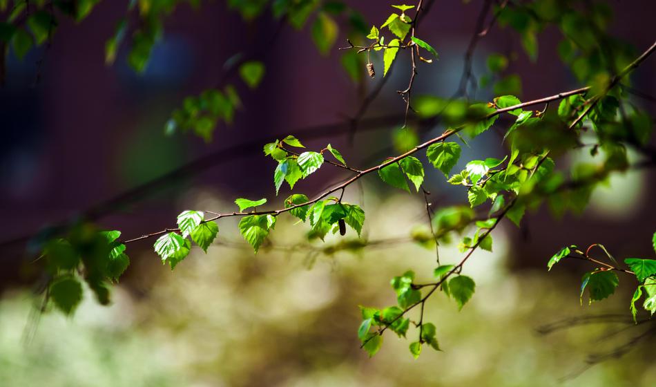 April bo čas nenavadnih izbir!