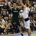 Sani_Becirovic_Action - main